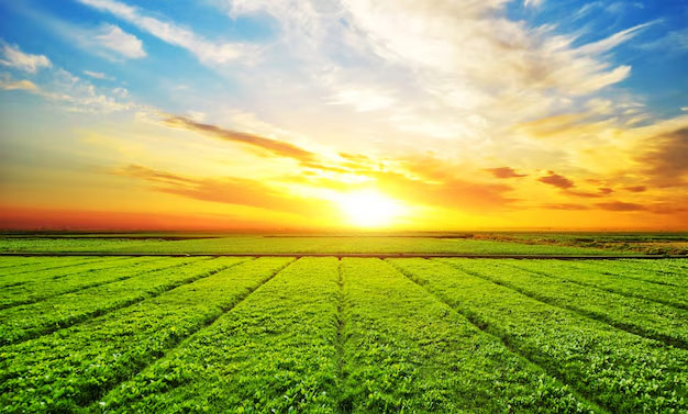Agriculture